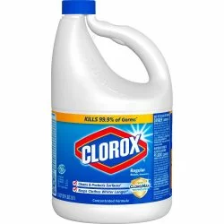 clorox bleach